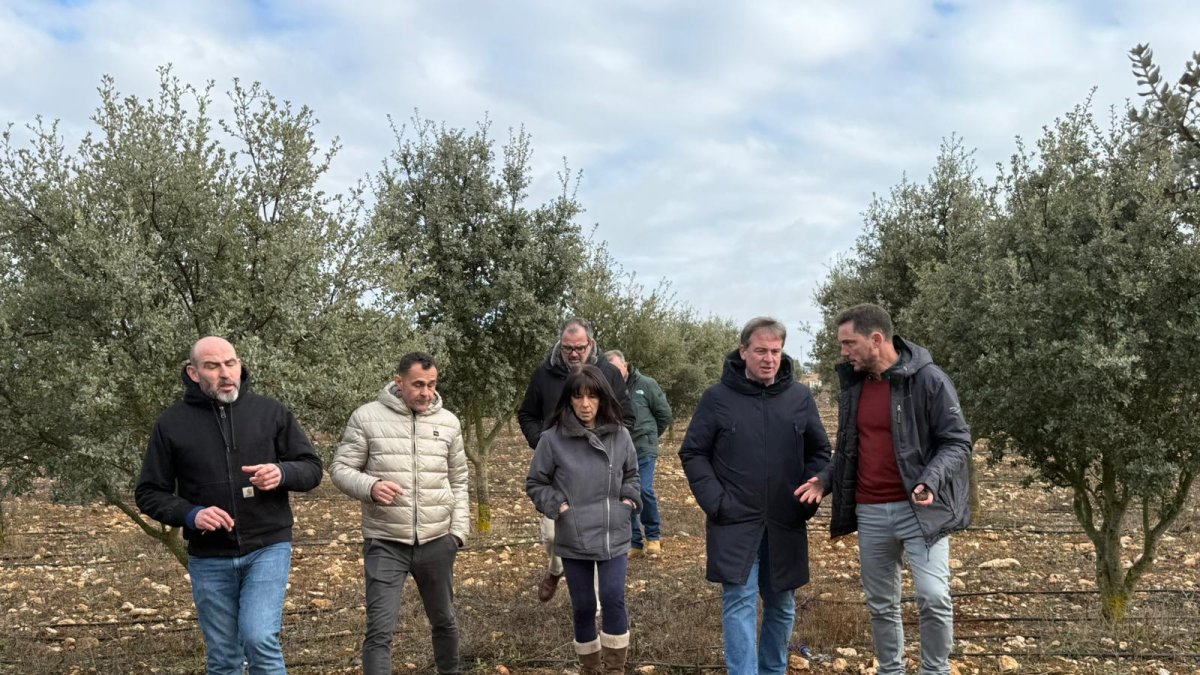 Representantes de la Diputación de Burgos, durante su visita a la plantación de trufa negra de IDForest en Tórtoles de Esgueva.
