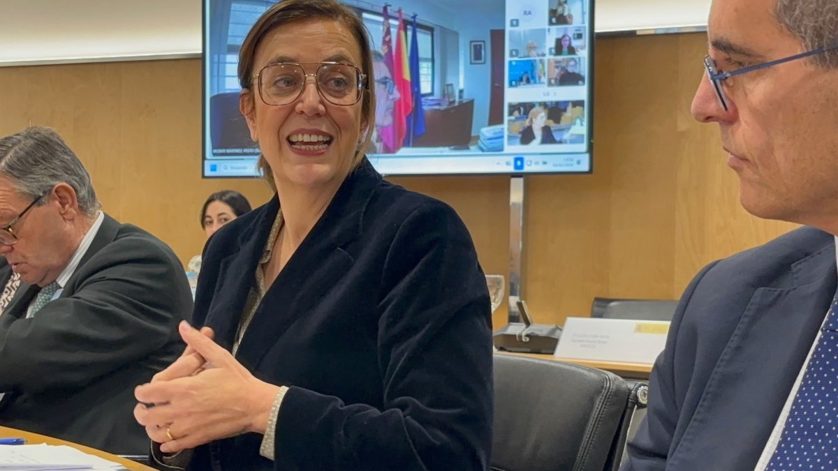 La presidenta de la Federación Regional de Municiipios y Provincias de Castilla y León y de la Diputación de Palencia, Ángeles Armisén, durante la reunión de la Comisión Interministerial.