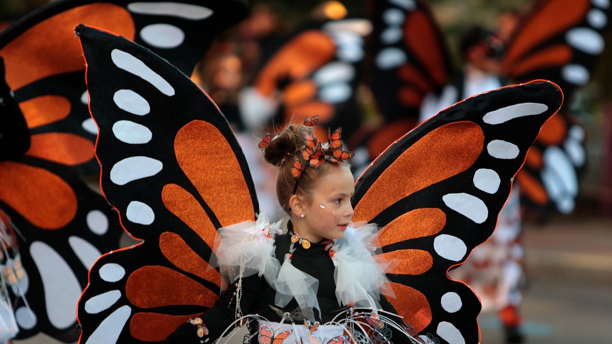 Cabalgata de Carnaval en la capital leonesa.
