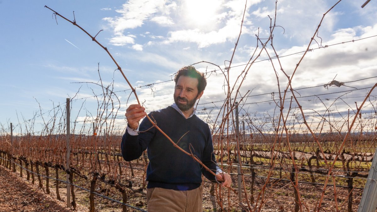 Antonio Díez de Bodegas Martín Berdugo