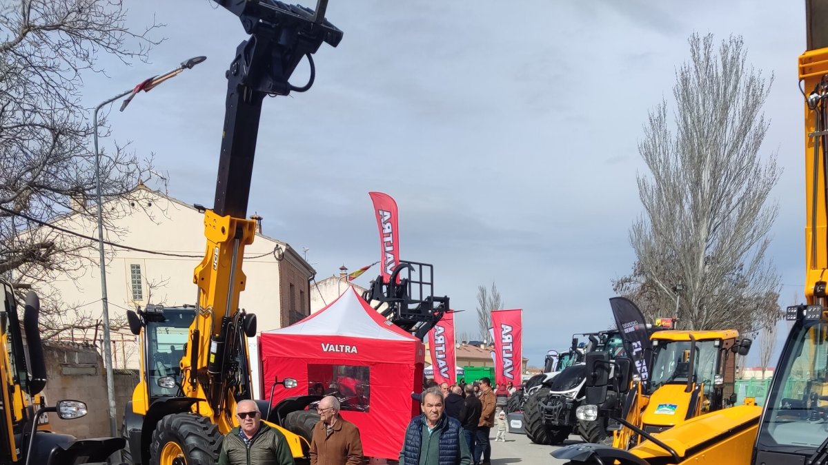 Ediciones anteriores de la Feria del Ángel y de Caballo en Fuentepelayo.