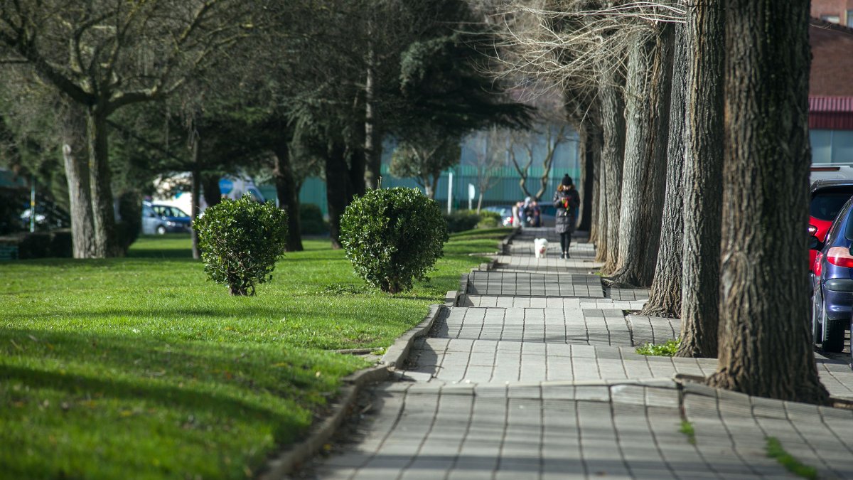Así luce la acera del parque Buenavista. El PSOE tilda su estado de 