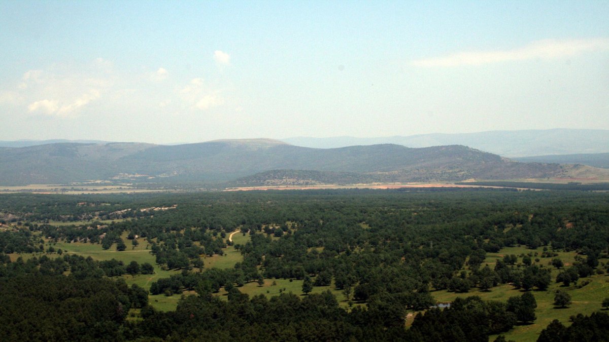 Archivo - Monte de Valonsadero (Soria).