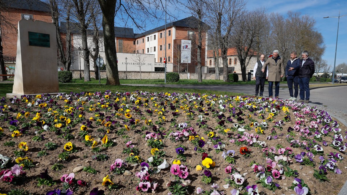 Plantación de flores realizada en la rotonda de Miguel Ángel Blanco.