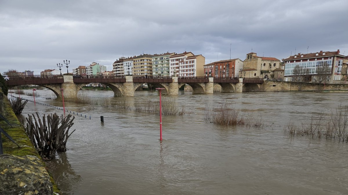 Imagen de la crecida del Ebro a su paso por Miranda el pasado 17 de febrero.