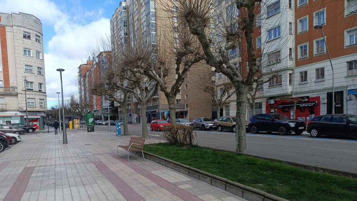 Dos agresiones en la misma noche en este tramo de la calle Vitoria.