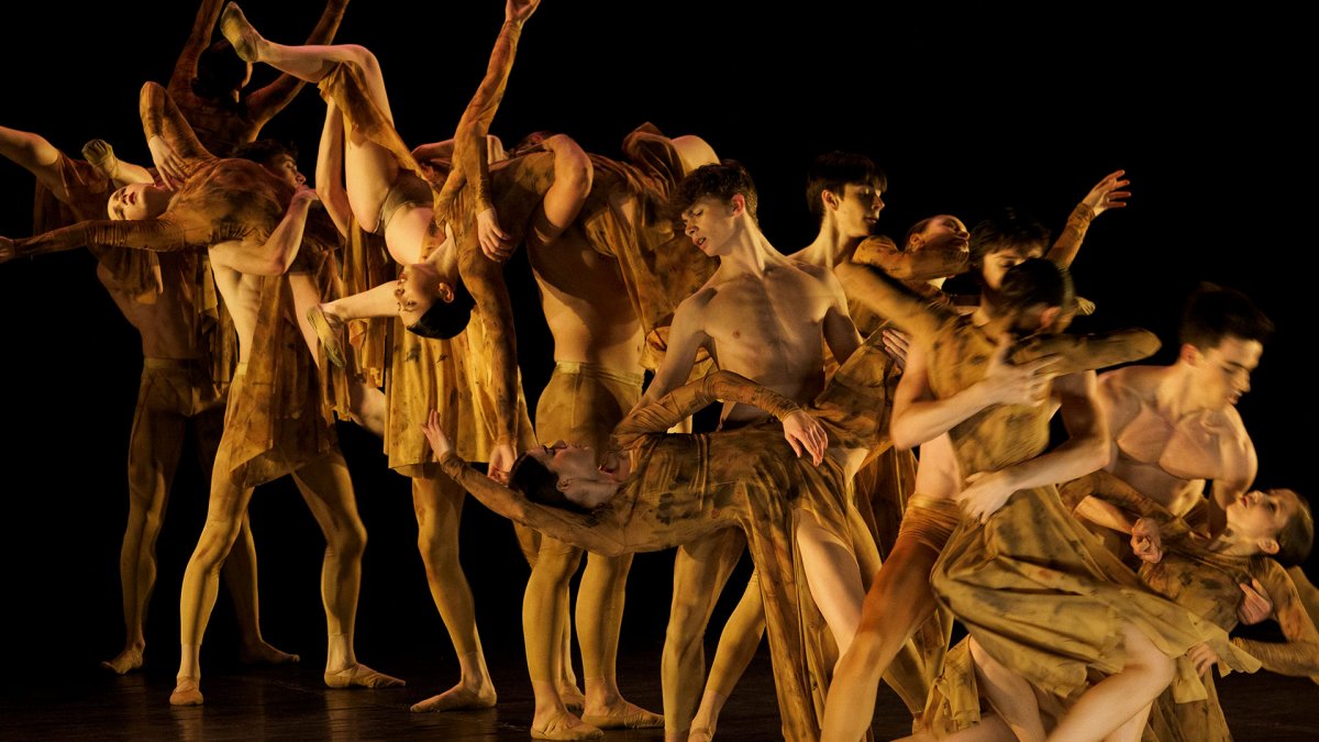 La Compañía Larreal, jóvenes bailarines del Real Conservatorio Profesional de Danza de Madrid 'Mariemma', bajo la dirección de Aleix Mañé, llegarán al teatro Casino de Salas el 18 de abril.