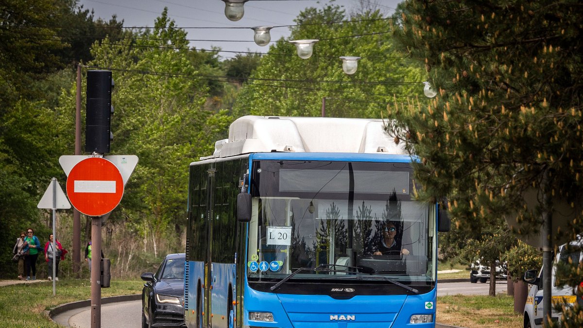 La línea 20 de autobús municipal se ha restablecido con un vehículo llegado de Madrid, también la línea 100.