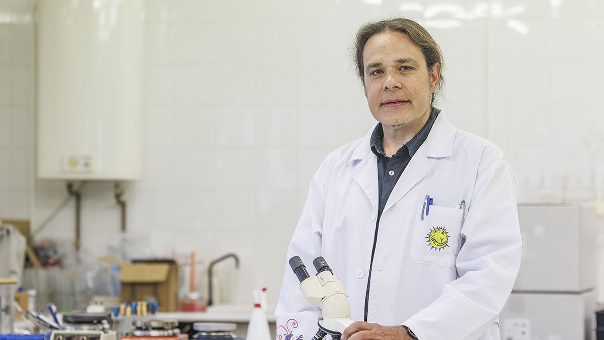 Gonzalo Sacristán Pérez-Minayo, profesor del Área de Microbiología de la Universidad de Burgos.
