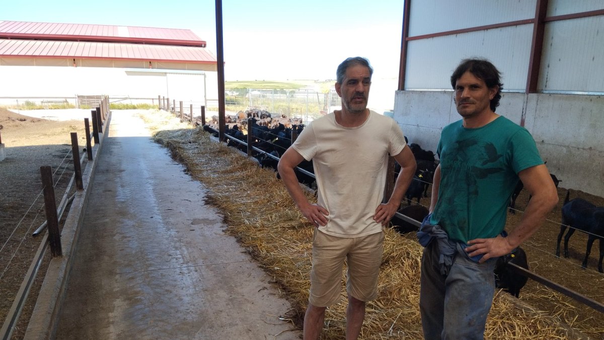Los hermanos Porres son los responsables de FPD Agro, explotación de caprino en Tordómar.