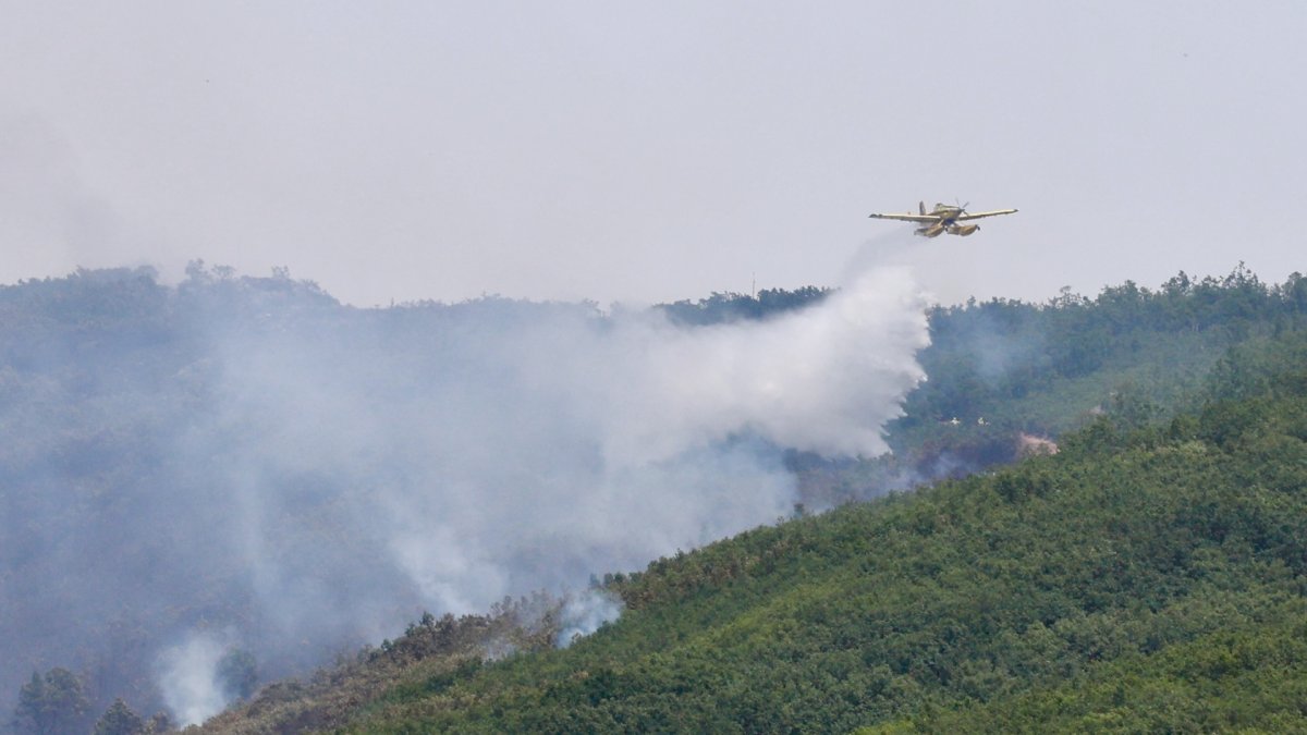 Declarado de nivel 1 un incendio forestal originado esta madrugada en Valdepiélago (León).