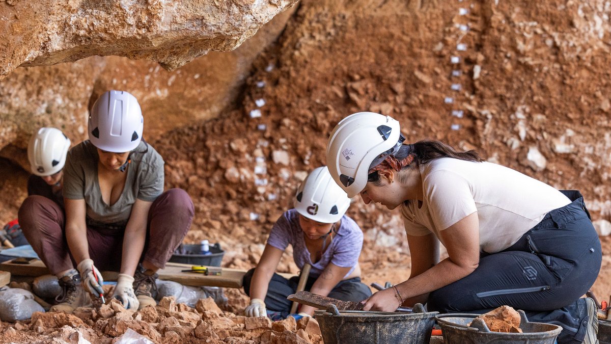 Un grupo de excavadores analizan las cuadrículas del yacimiento de Galería.