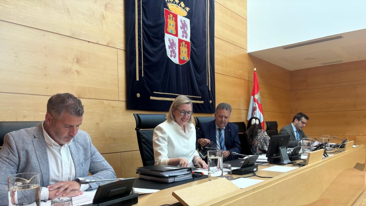 La vicepresidencia segunda, Isabel Blanco Llamas.