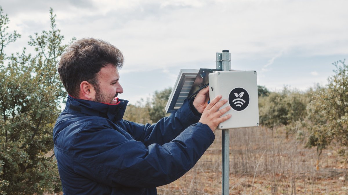 Iván Franco Manchón en la plantación trufera