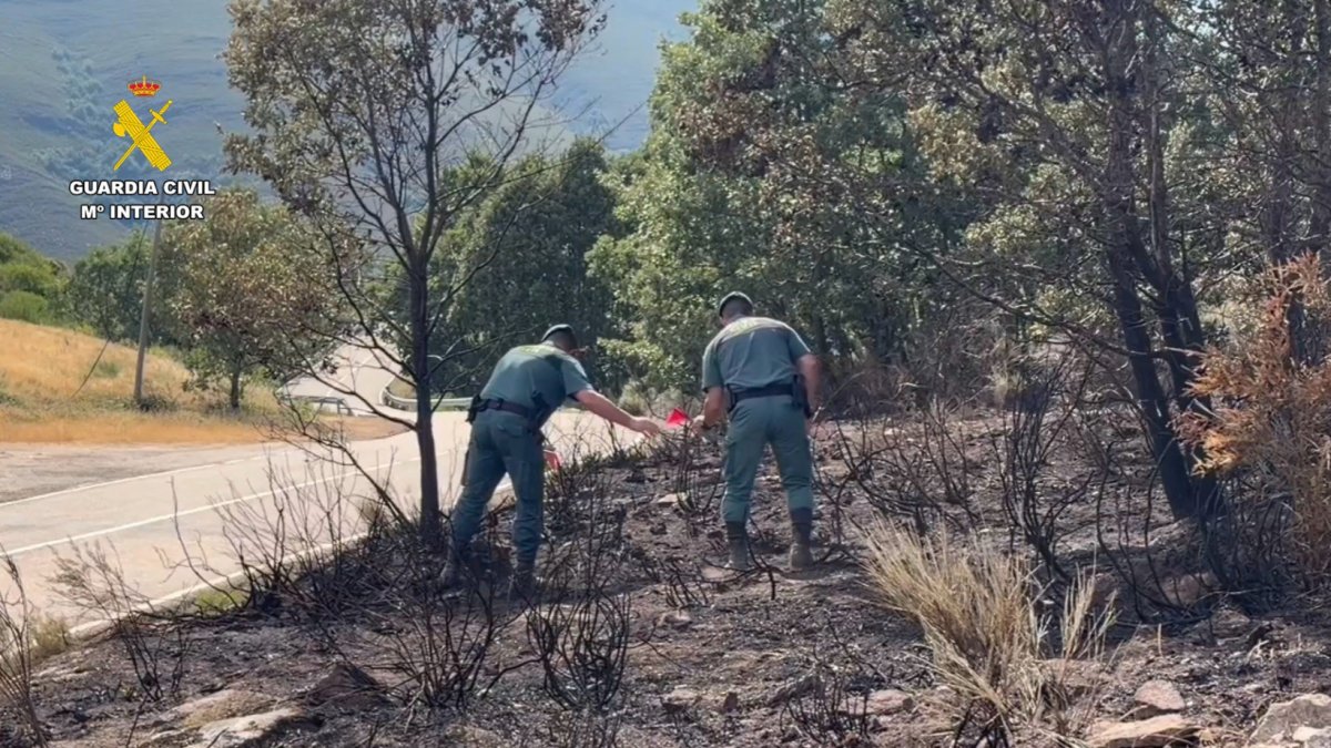 Detenido un hombre e investigado otro por presuntamente provocar 15 incendios en la provincia de Zamora.