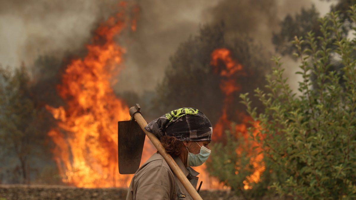 Incendio en la provincia de Ávila.