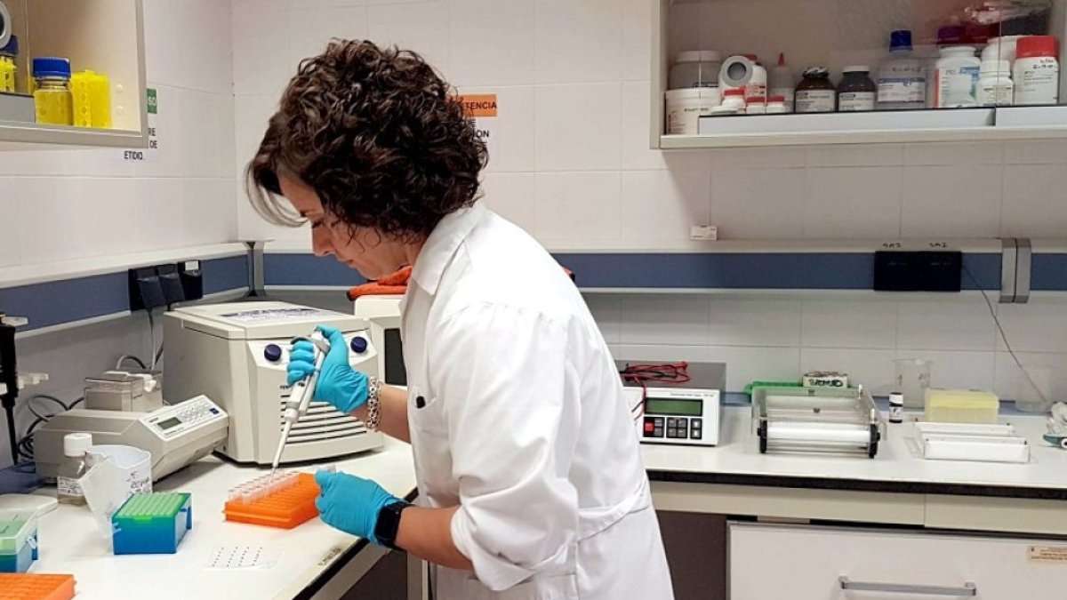 Imagen de uno de los laboratorios de la UBU.