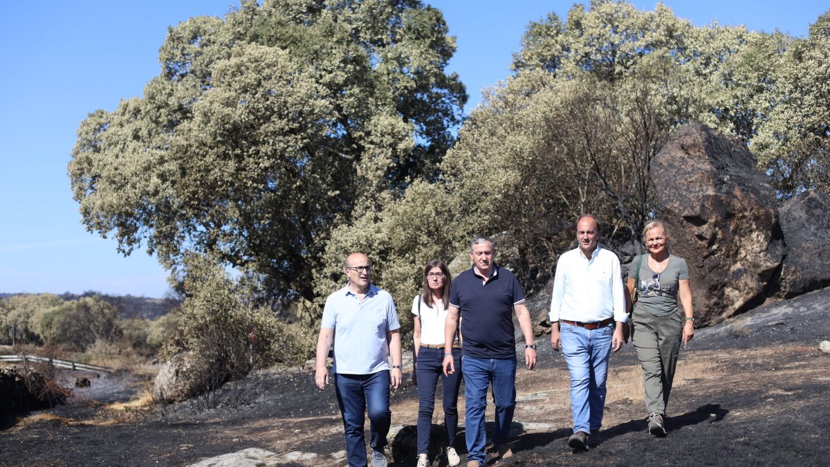 El consejero de Agricultura se reúne con los alcaldes de los municipios afectados por el incendio de Fermoselle y las OPAS.