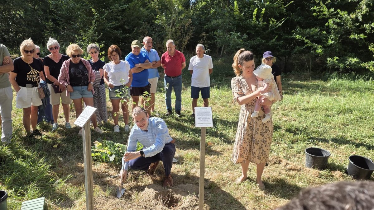 Imagen de la plantación de Árboles en Rubena