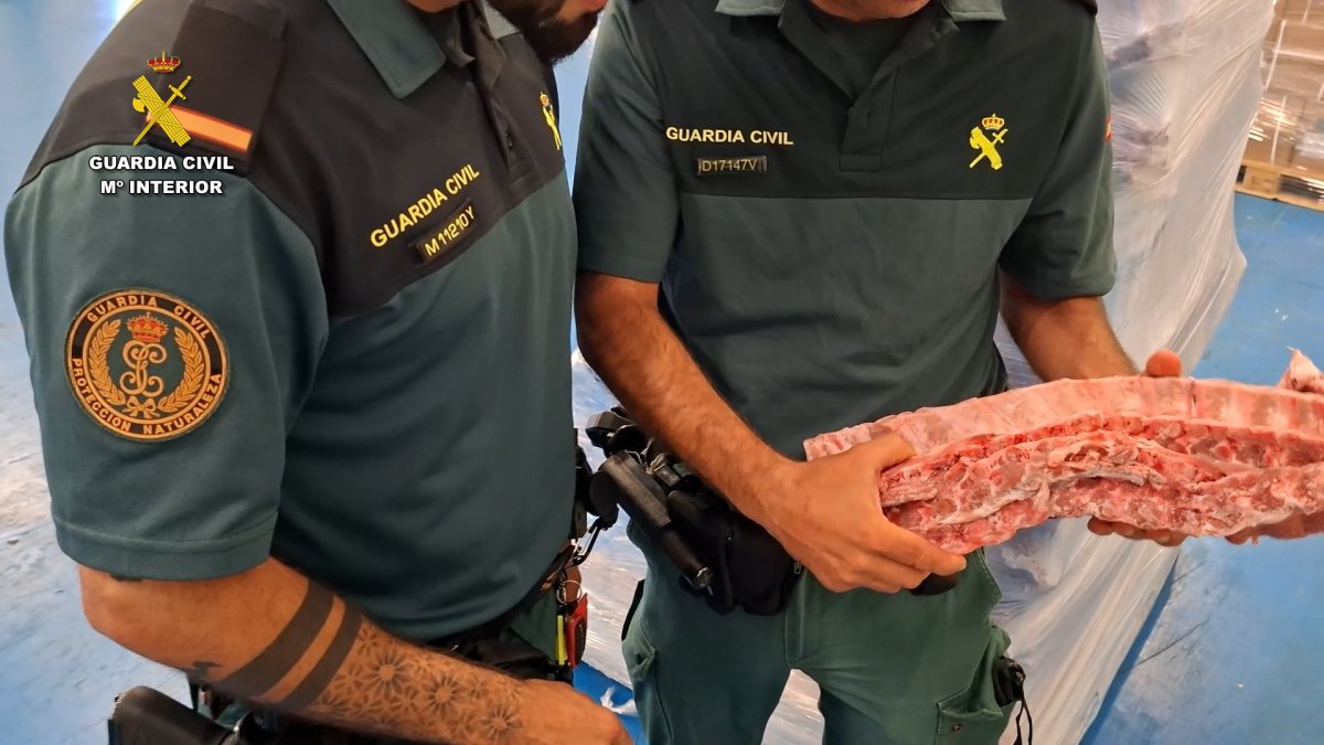 Imagen de la carne incautada.