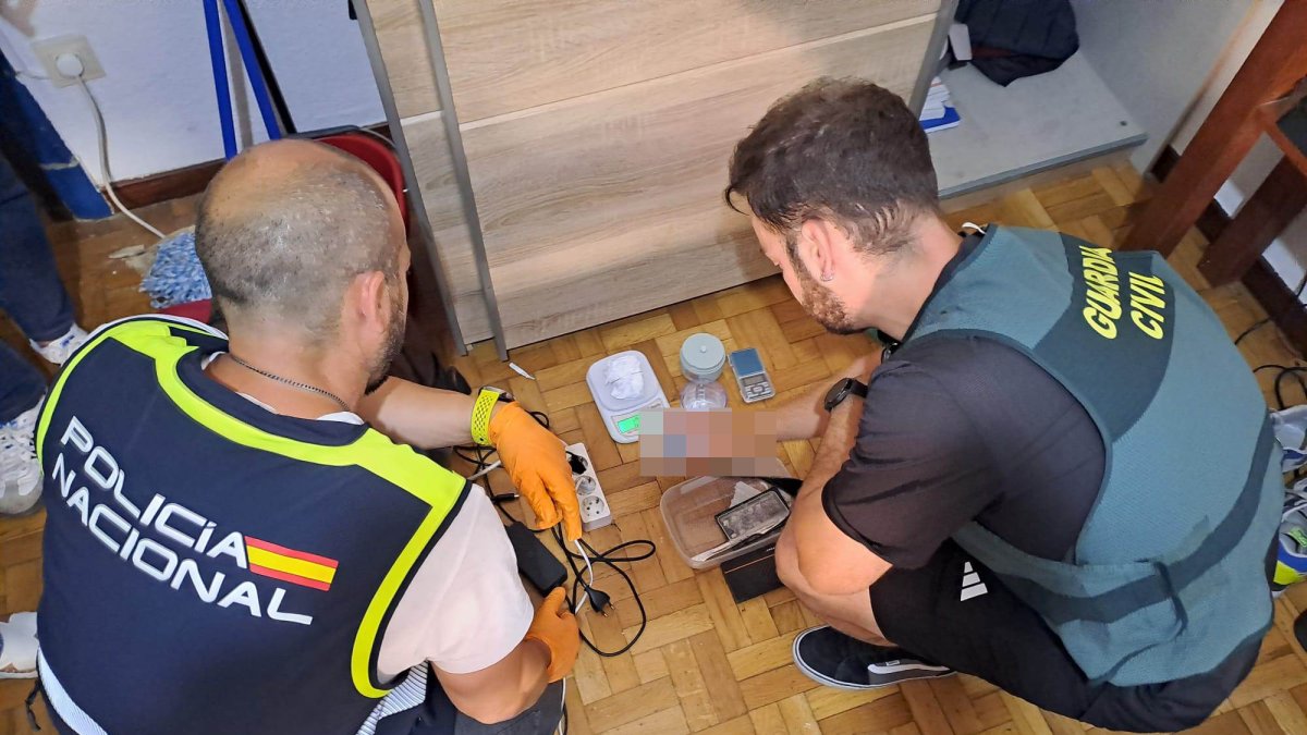 La operación la han llevado de forma conjunta Policía y Guardia Civil.