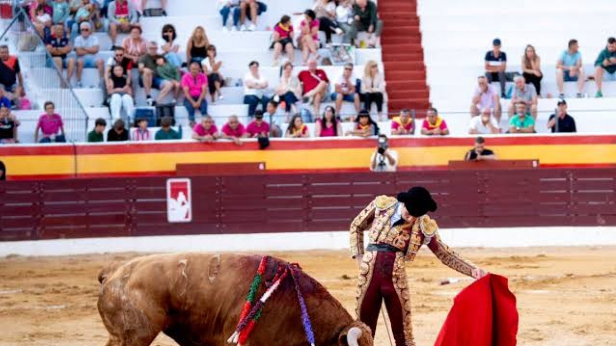 Fin de semana de toros en Burgos con festejos en Roa, Briviesca, Salas y Villarcayo