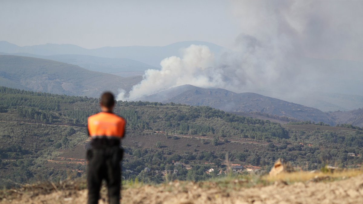 Imagen de archivo del incendio forestal de Veguellina.