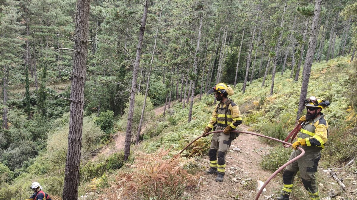 Desciende a nivel 0 el incendio de Arza