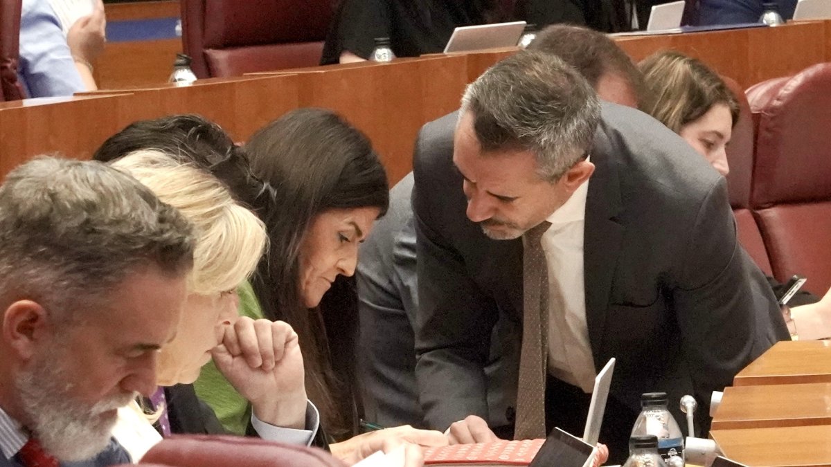 La procuradora de Vox María Dolores Mateo junto al portavoz parlamentario David Hierro en el Pleno de las Cortes.
