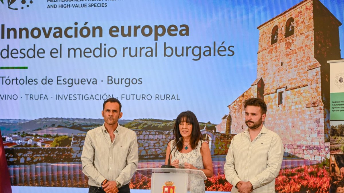Así prueban la rentabilidad del cultivo conjunto de la vid y la trufa en un pequeño pueblo de Burgos