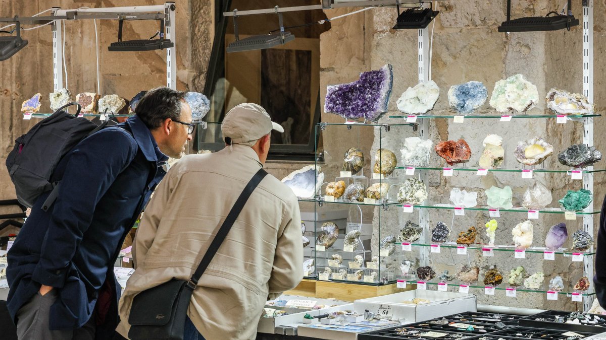 15 expositores conforman la segunda edición de la Feria y Exposición de Minerales y Fósiles de Burgos.