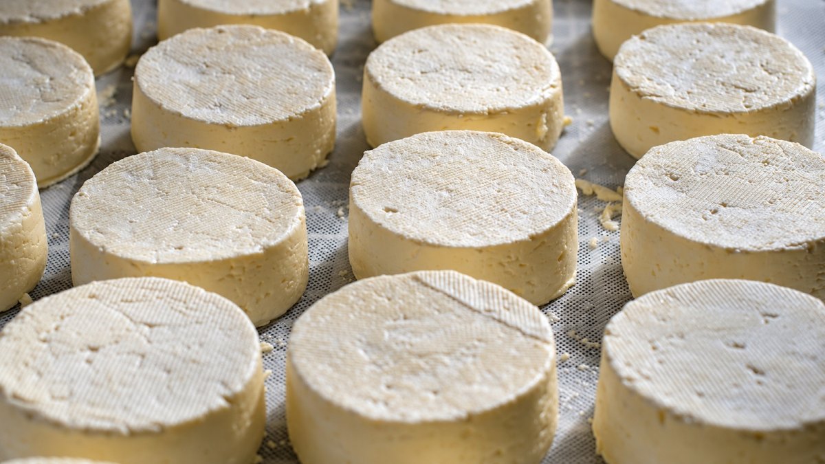 Piezas de queso durante su elaboración. Imagen de recurso.