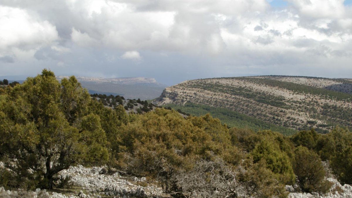 Parque natural Sabinares del Arlanza - La Yecla
