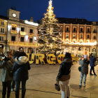 Pino navideño de la Plaza Mayor iluminado.