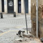 El programa contará con un presupuesto histórico de 29.000 euros