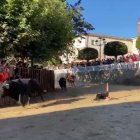 Imagen del joven cogido hoy en Roa por un toro