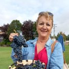 Enoturismo en la Ribera del Duero