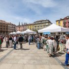 El tiempo acompaña y convierte la cita con los libros en la Plaza Mayor en un éxito garantizado.