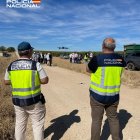 Control policial en la vendimia 2026