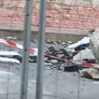 Imagen de una de las ratas