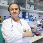 Marcos González, jefe de Hematología en el Hospital Clínico Universitario de Salamanca. EL MUNDO