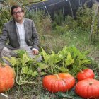 El catedrático de Micología del campus de Palencia, Andrés Oria, con hortalizas abonadas con trufas enanas.-MANUEL BRÁGIMO