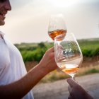 La apuesta por el enoturismo es clave en Ribera del Duero