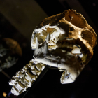 Tras 20 años de trabajo de análisis y reconstrucción de piezas, así luce Miguelón con la siete vértebras cervicales en el MEH.  SANTI OTERO