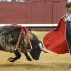 Apertura de faena por bernardinas en los medios de Fortes el lunes frente a un ejemplar de Conde de Mayalde.-S.OTERO