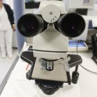 La covid dispara un 75% los análisis del laboratorio de Microbiología. R. G. OCHOA