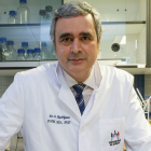 David Rodríguez es el director del Centro de Patógenos Emergentes de la Universidad de Burgos. TOMÁS ALONSO