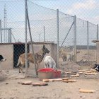 Etxaurren hizo fotografías durante su visita para testimoniar las condiciones en las que se encuentran los perros.-E. M.