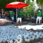 Mercado con el producto estrella de la Feria del Ajo de Castrojeriz. JAVIER ABRIL