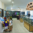 El Museo de los Dinosaurios en Sala de los Infantes conserva una de las colecciones de fósiles más completas de España.